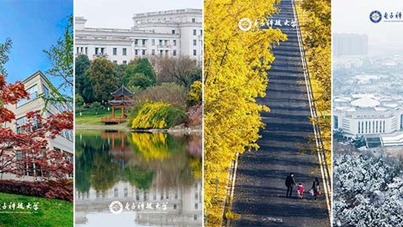 内存芯片与闪存芯片：揭秘它们的本质区别